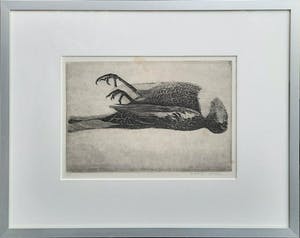 Charles Donker - Dode Beflijster kop naar rechts - bijzondere ets uit 1977 - 21019 kopen? Bied vanaf 275!