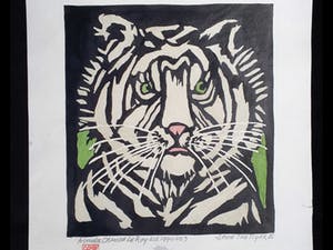 Aimee Crince le Roy - Save The Tiger III kopen? Bied vanaf 1!