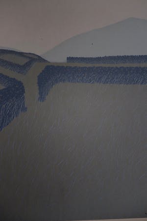 Doris Groeneveld - West-iers landschap kopen? Bied vanaf 50!