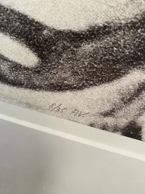 Peer Veneman - Titel: La charme de l’Italie kopen? Bied vanaf 250!