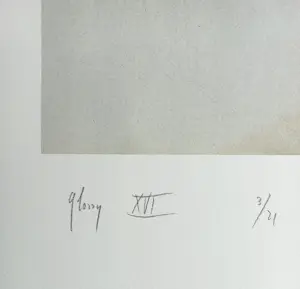 Rob Scholte - Glossy XVI, piëzografie kopen? Bied vanaf 250!