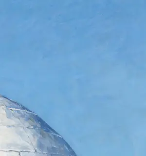 Mr Strange - The Guard Bear kopen? Bied vanaf 80!