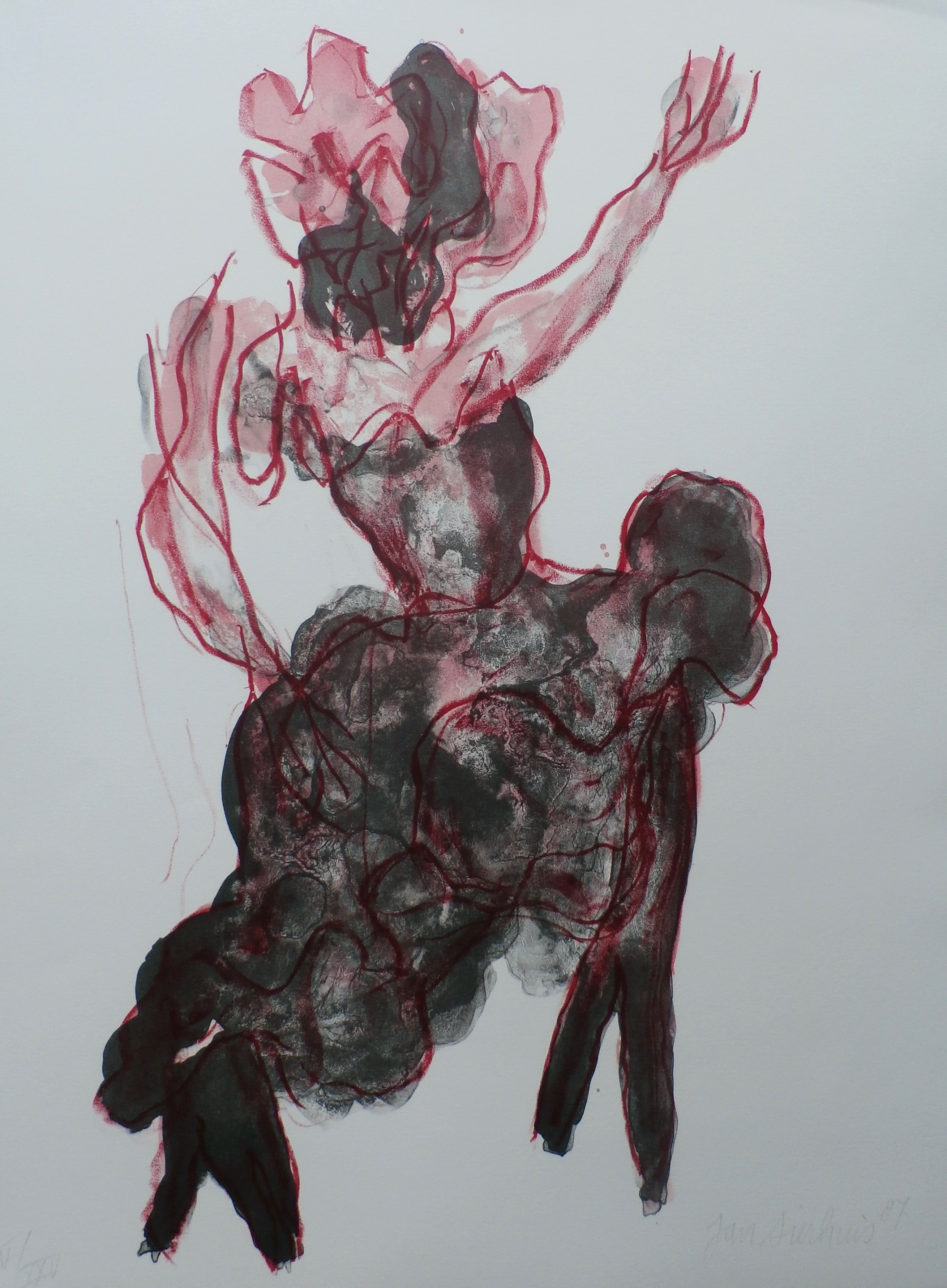 Jan Sierhuis - Litho: Flamengo - 1987 verkocht voor € 60!