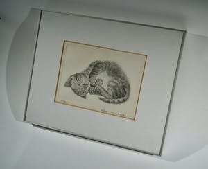 Ella van Schaik - slapende kitten kopen? Bied vanaf 15!