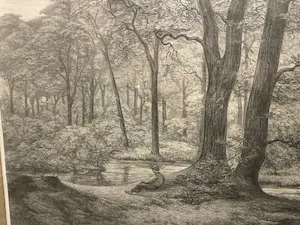 Simon Moulijn - Teutoburgerwoud kopen? Bied vanaf 60!