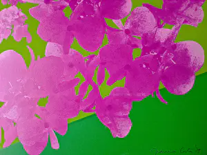 Franco Costa - Originele z.g.a.n. Zeefdruk 1978 serie "Washington capitol hill " gesigneerd kopen? Bied vanaf 58!