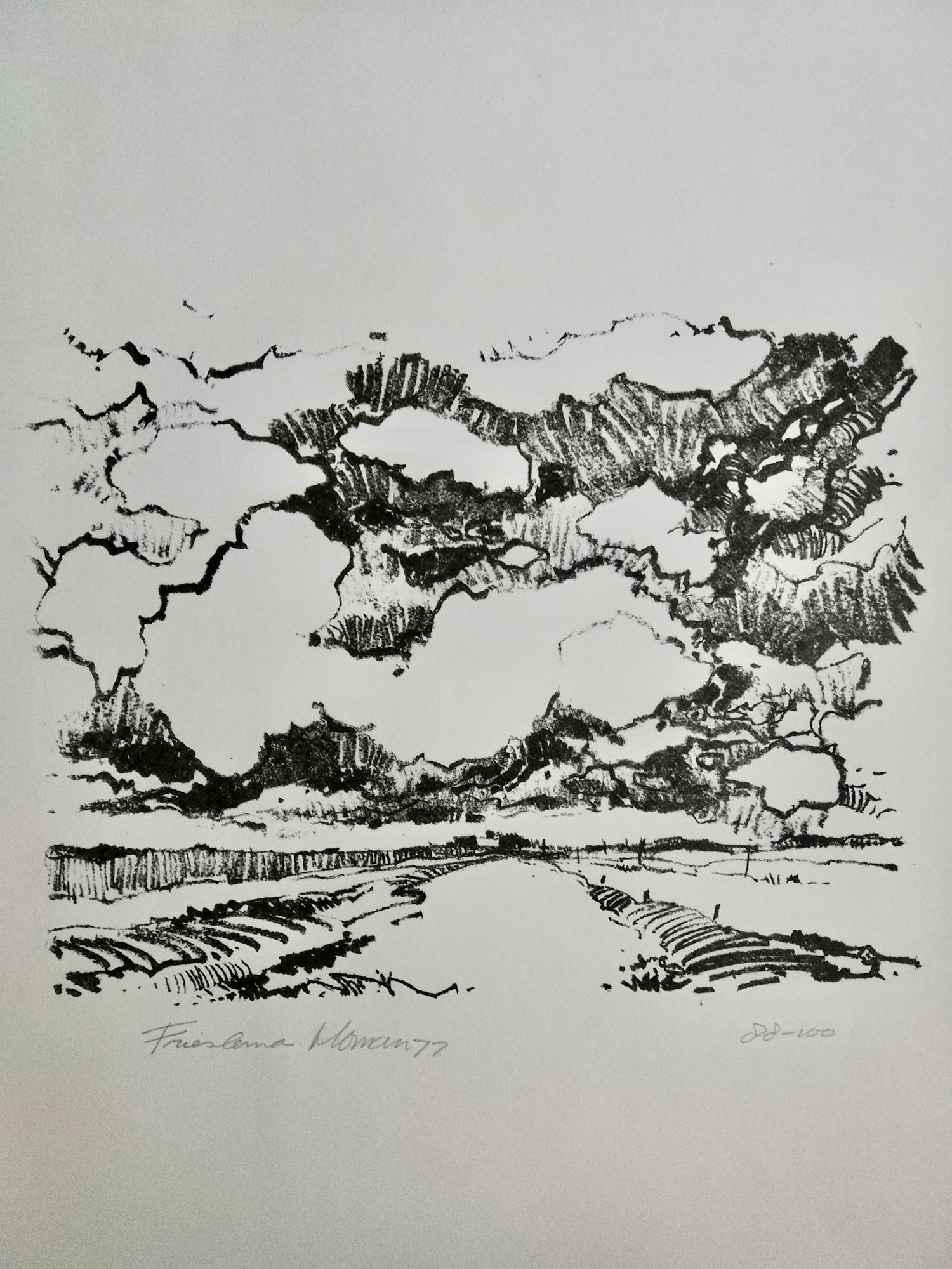 Jan Homan - Litho Friesland kopen? Bied vanaf 10!