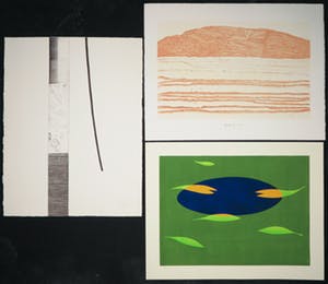 Jan Hein van Rooy - Ron Rooymans + Judith Stolker, Lot van 3 stuks grafiek kopen? Bied vanaf 1!