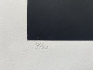 Jeroen Henneman - zeefdruk - 'De aquarel' - 1990 kopen? Bied vanaf 175!