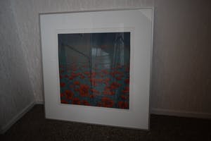 Hans Dolieslager - Klaprozen - kopen? Bied vanaf 120!