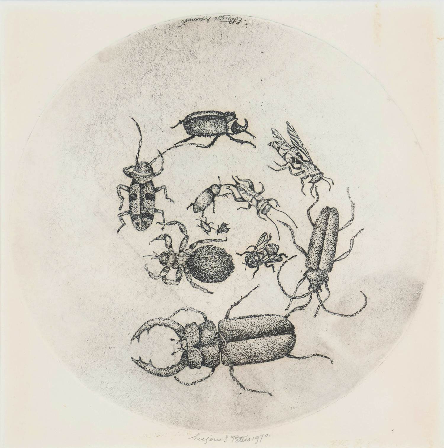 Eugene Peters - Kevers kopen? Bied vanaf 50!