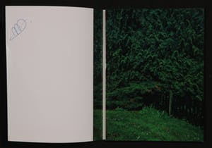 Marnix Goossens - Foto, Hibiscus - Ingelijst + gesigneerde tentoonstellingscatalogus kopen? Bied vanaf 250!