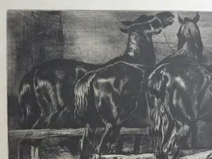 Kuno Brinks - Zwarte paarden. Eigen druk. kopen? Bied vanaf 89!