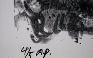 Niet of onleesbaar gesigneerd - Bomen kopen? Bied vanaf 10!