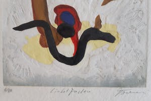 Jan Tormi - Lichtfaden kopen? Bied vanaf 20!