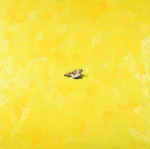 Gerard Prent - Olieverf op doek, Mus (Groot) verkocht voor € 1000!