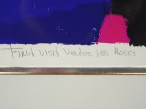 Frank Lejeune - First Visit Veules les Roses kopen? Bied vanaf 75!
