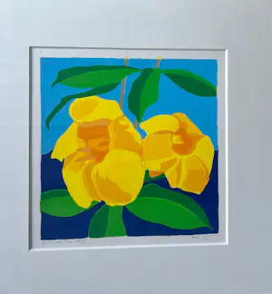 Henk van der Plas - Bali II kopen? Bied vanaf 55!