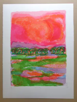 Ronald Julius Christensen - AFRICAN SKY / KLEURLITHO / 76x56cm / SIG kopen? Bied vanaf 25!