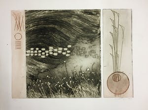 Jan Montyn - Kleuren ets kopen? Bied vanaf 60!