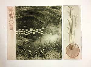 Jan Montyn - Kleuren ets verkocht voor € 60!