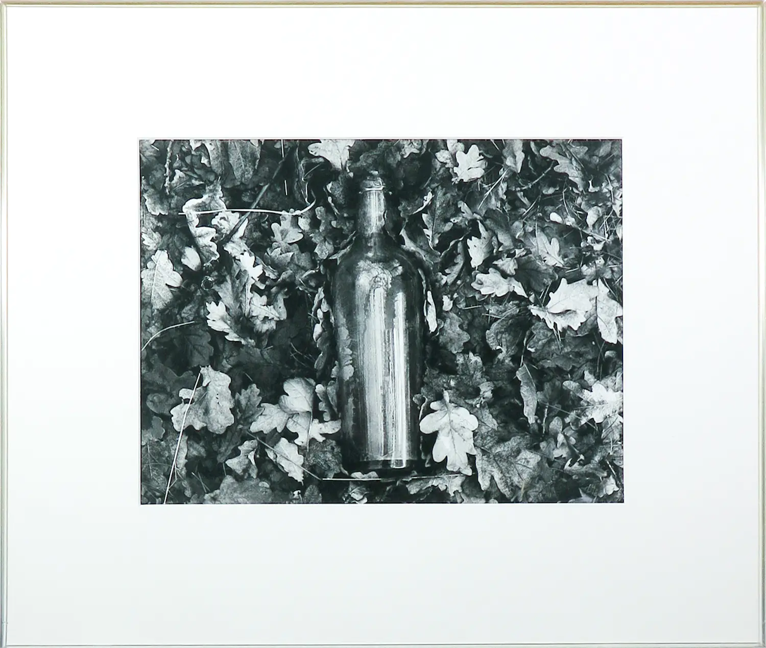 Antoon Dries (1910-2004)