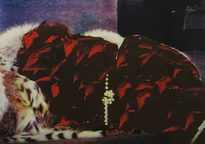 Eugene Jongerius - Zeefdruk, Zonder titel - Ingelijst (Groot) kopen? Bied vanaf 1!