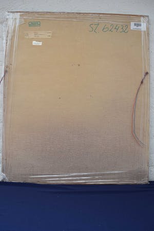 Roelof Klein - Stekels en schermen - gouache op papier kopen? Bied vanaf 20!