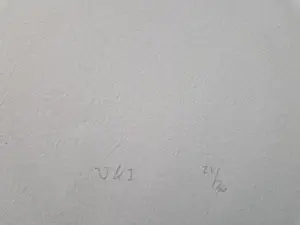 John Studulski - Amsterdam 1985 'nieuwe wilden' kleuren lithografie "V&I" potloodgesigneerd kaufen? Bieten Sie von 48!