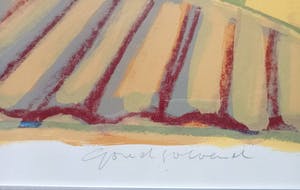 Willem Brauck - Goudvloed kopen? Bied vanaf 25!