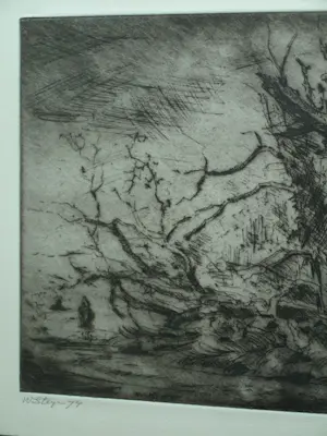 Wim Steijn - Ingelijste ets , Bos bij Haarlem – 1974 – Lijst, 37½ x 45½ cm. kopen? Bied vanaf 60!