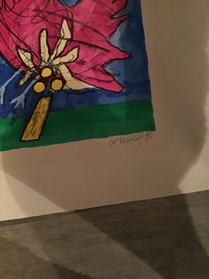 Corneille - Twee kippen ,hanen kopen? Bied vanaf 30!