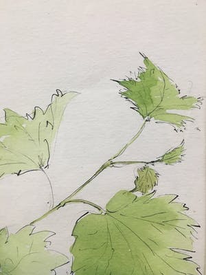 Annemarie van Wolde-Mulder - Groen. kopen? Bied vanaf 1!