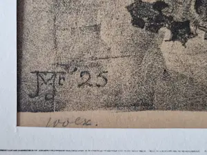 Jan Voerman (jr.) - Grote lithografie - 1925 - "bloeiende potplant" - beperkte oplage (100) kopen? Bied vanaf 38!