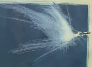 Ronald Tolman - handgesigneerde kleurenets | 'Zonder titel' | 1995 (INGELIJST) kopen? Bied vanaf 120!