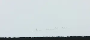 Ernst Caramelle - Fotogravure, Ohne titel, 2000 kopen? Bied vanaf 80!