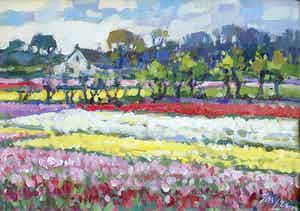 Jos Leurs - Bollenvelden bij Egmond aan den Hoef verkocht voor € 375!