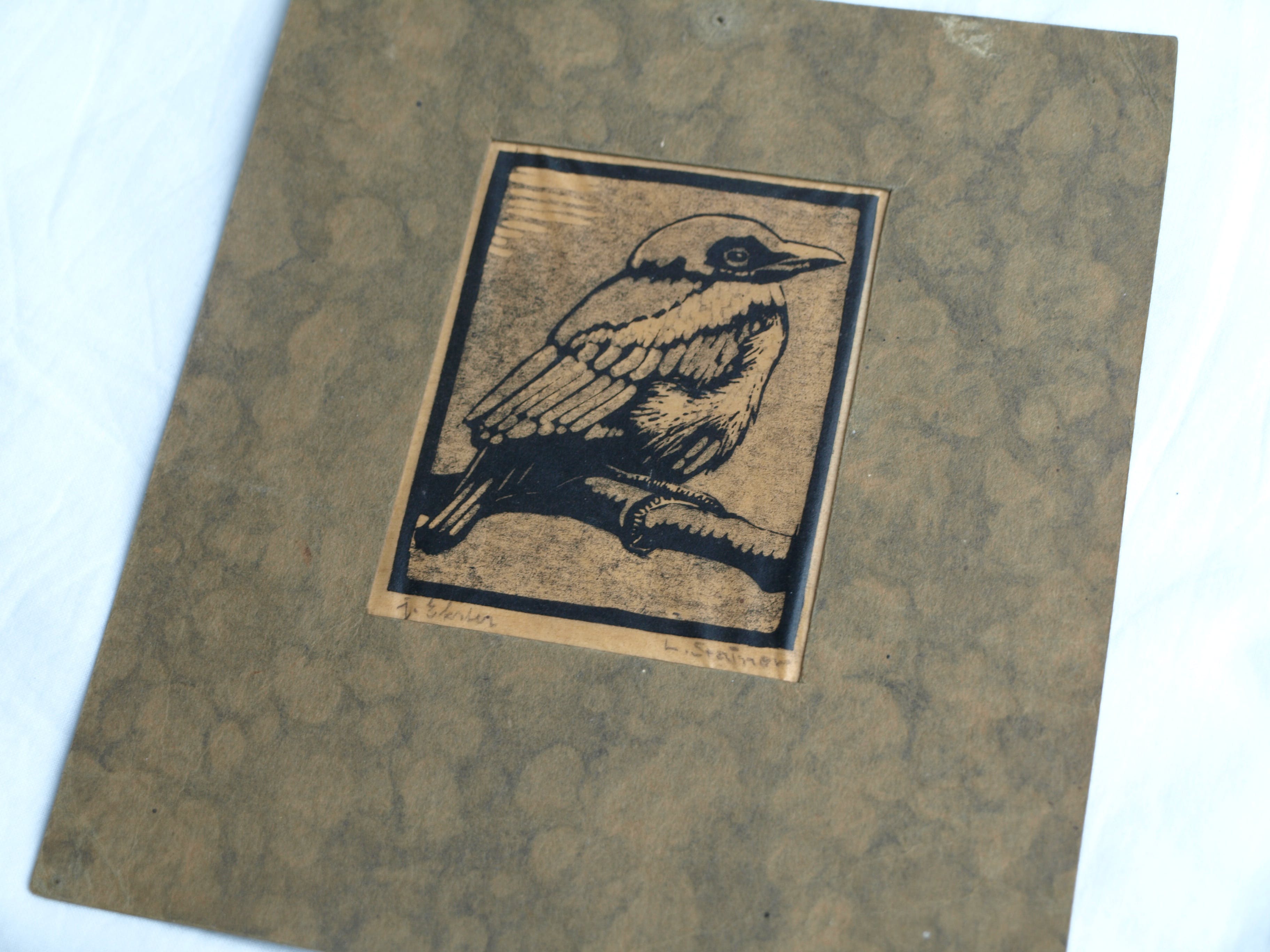 Ludwig Stainer - Ets , Jonge ekster – Gesigneerd – ca 1935 kopen? Bied vanaf 1!