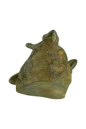 Pierre Chenet - Bronzen beeld van boomkikker op steen kopen? Bied vanaf 95!