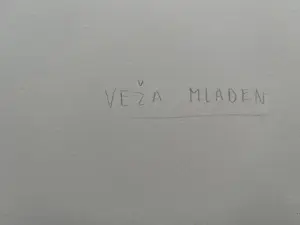 Mladen Veza - OLIJFBOOM kaufen? Bieten Sie von 39!
