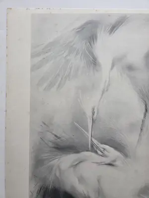 Han van Meegeren - Witte reigers. kopen? Bied vanaf 59!