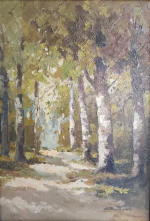 Cor Noltee - Het Zonnige Berkenpad kopen? Bied vanaf 90!