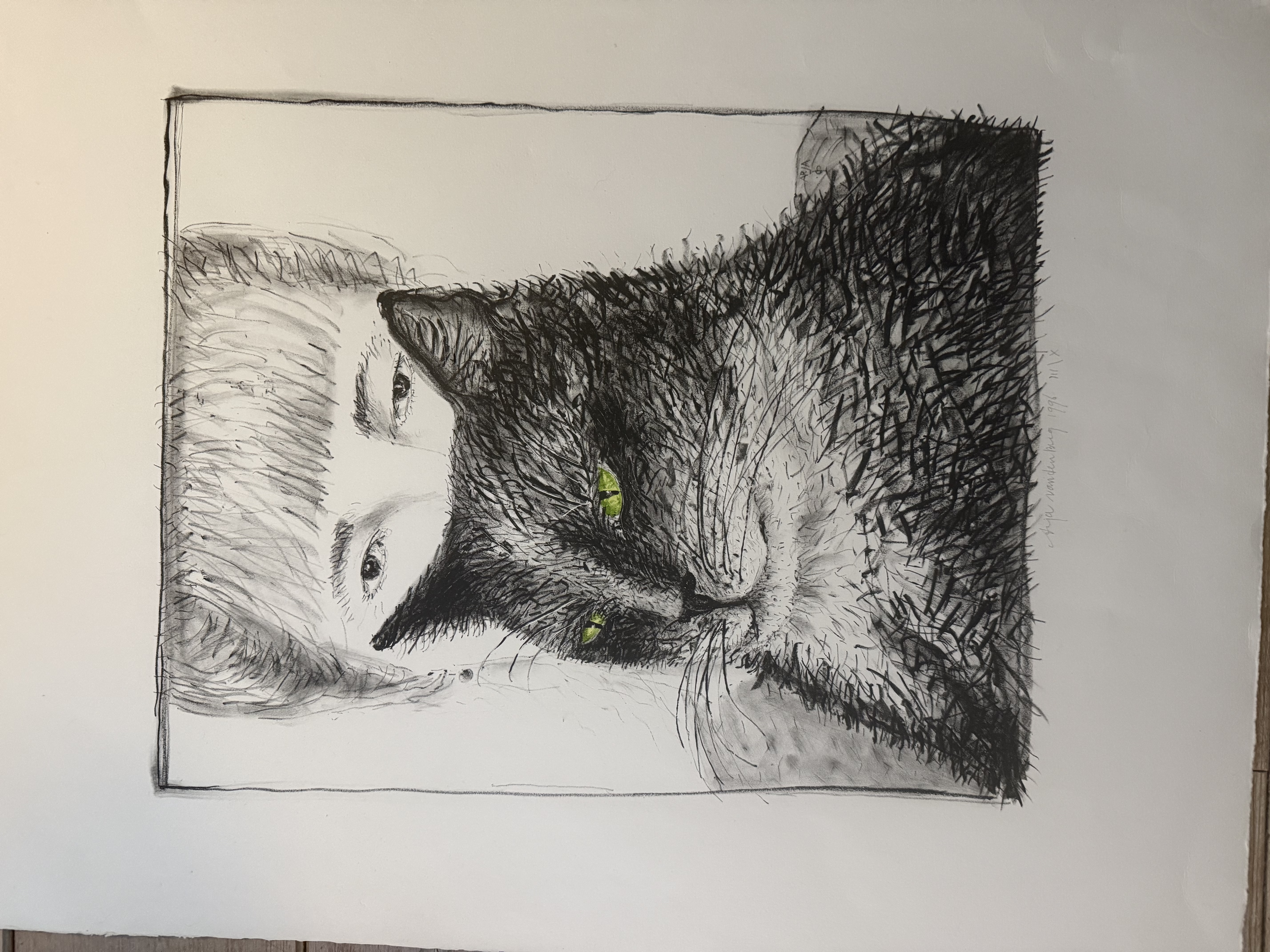 Arja van den Berg (1947)