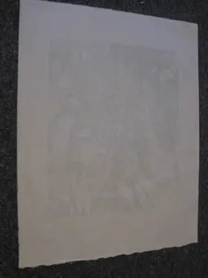 Clement Moreau - Clement Moreau, 21 Linolschnitte zu -Die Brücke im Dschungel- kopen? Bied vanaf 48!