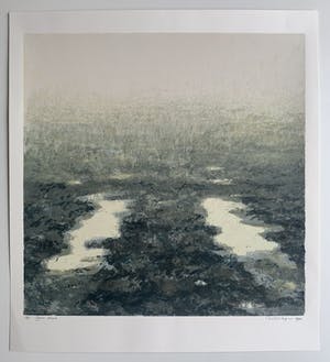 Hans Dolieslager - kleurenzeefdruk - 'November' - 1992 kopen? Bied vanaf 75!