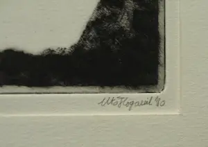 Uto Hogerzeil - Ingelijste ets en aquatint , Emoe’s (?) – 1980 – Lijst, 42 x 52 cm. kopen? Bied vanaf 60!