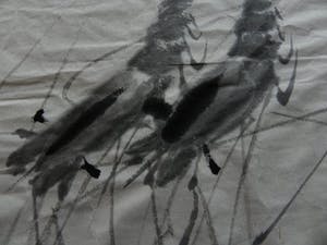 Niet of onleesbaar gesigneerd - "Shrimps" kopen? Bied vanaf 1!