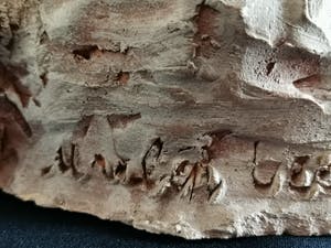 Niet of onleesbaar gesigneerd - Fraai beeld van naakte liggende dame kopen? Bied vanaf 1!