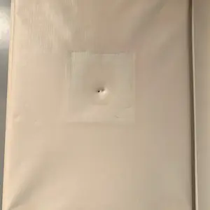 Vic Gentils - Apostolorum Limina Brons kopen? Bied vanaf 50!