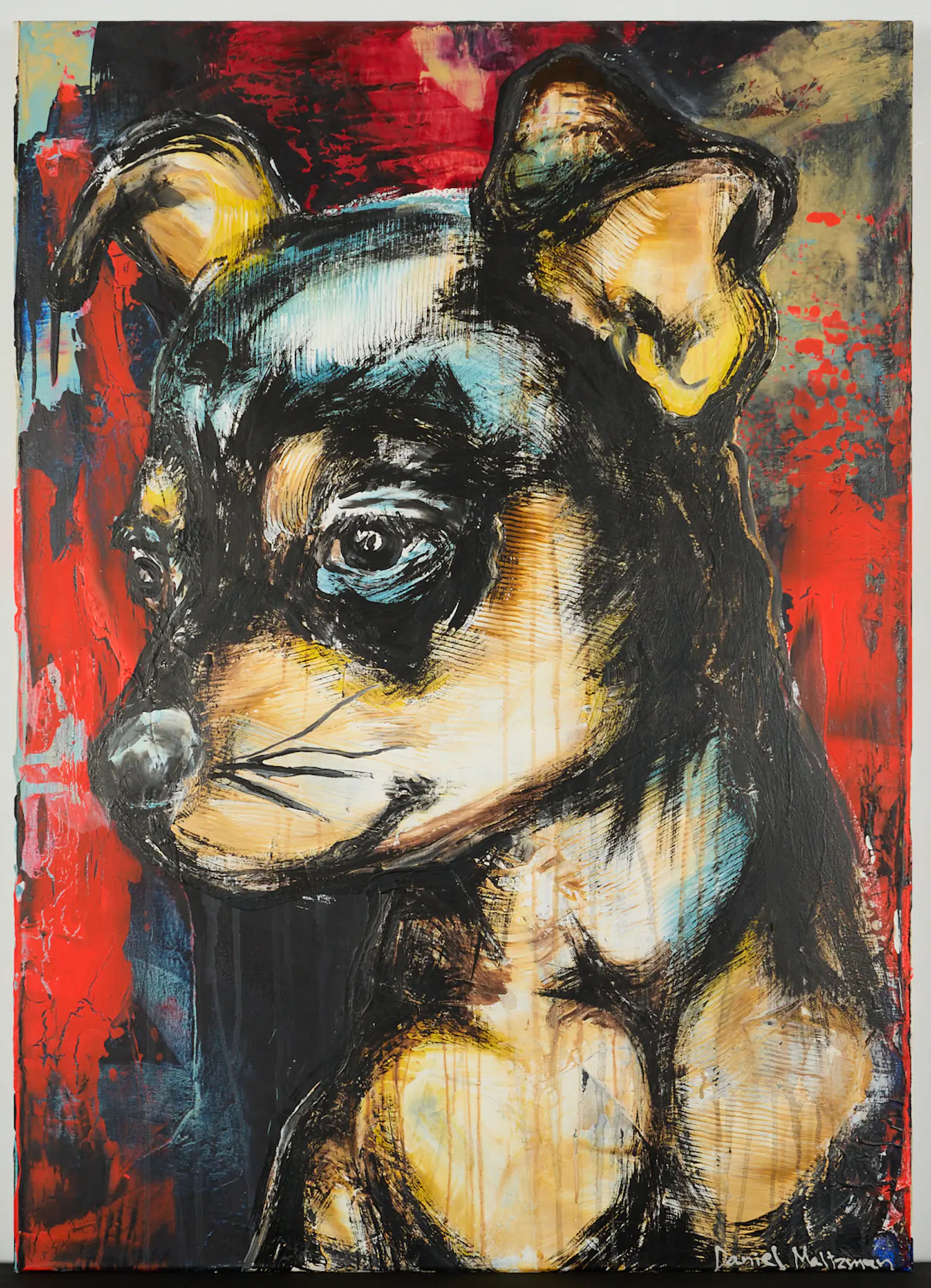 Daniel Maltzman (1963)